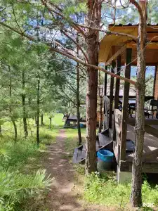 Усадьба АртСвет - 90