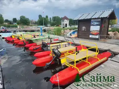 Сайма - 30