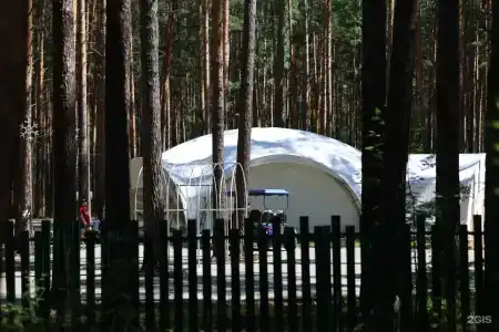 ДухЛес - 74