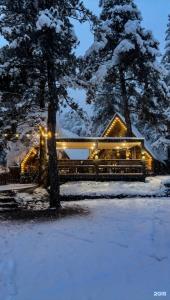 Seasons - 35