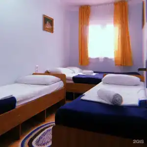 Киви и Цитрус - 50