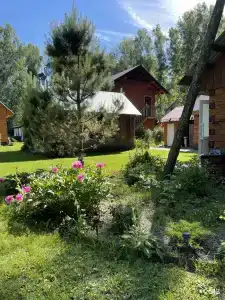 Алёнушка - 4
