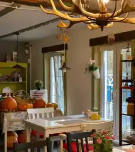 Ясная поляна - 19