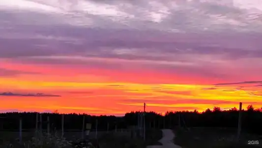 В гостях у зайца - 7