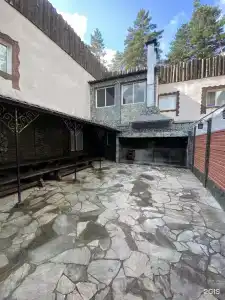 Золотой Лев - 95