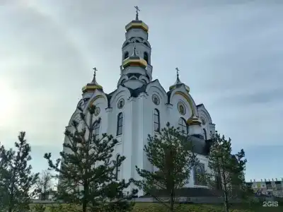 Березка - 12