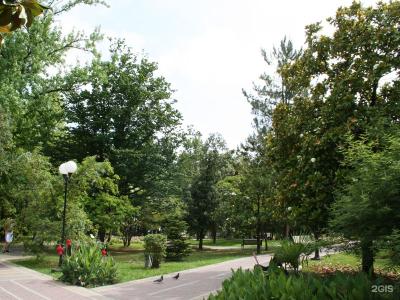 Фламинго 2 - 25