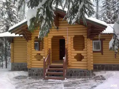 Березовая роща - 26