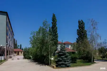 Берёзка - 62