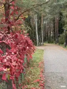 Ясные Зори - 0