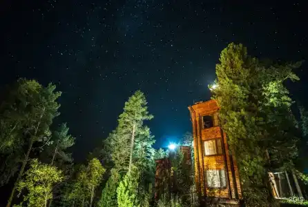 Урочище Актра - 60