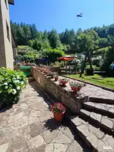 Радевичи - 29