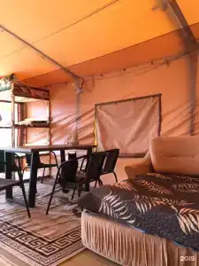 Лисичкин берег - 33