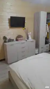 Дамка - 1