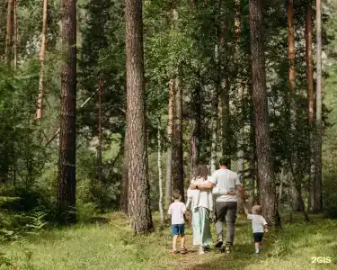 Таналтай - 49