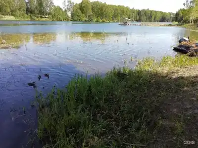 Гашкино - 11