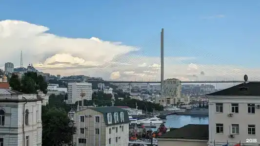 Грей - 9