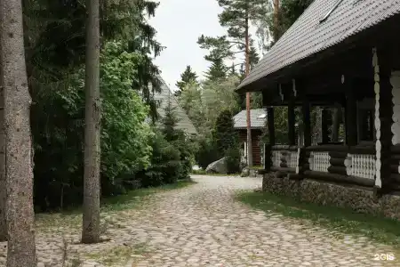 Утиный рай - 27