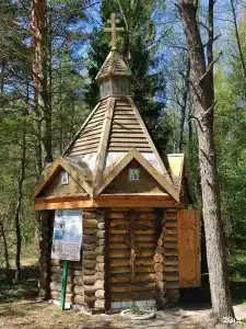Домики в лесу - 7