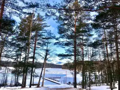 Журавушка - 58