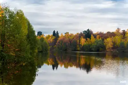 Усадьба Гребнево - 26