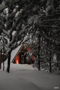Глэмпинг Эко-отель Forest - 45