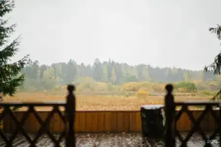 Vyritsa Village - 64