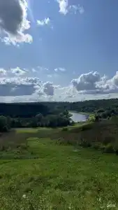 Грибная Находка - 11