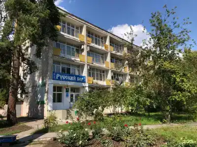 Русский бор - 129