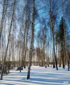 Николо-Поле - 58