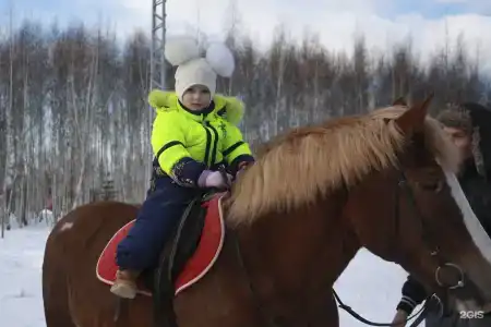 Экстрим Лэнд - 142