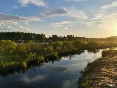 Николо-Поле - 15