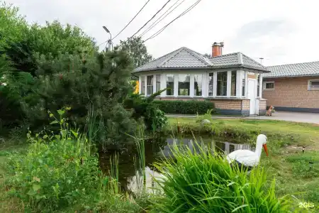Ям - 50