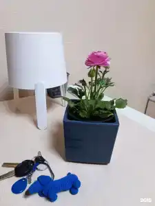 SunRise mini - 11