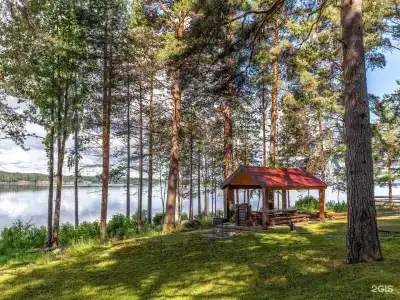 Cosmos Karelia - 12