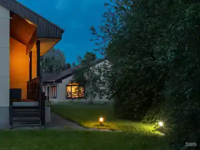 Cosmos Karelia - 83