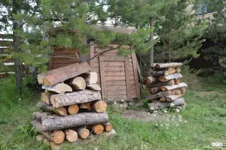 Евразия - 42