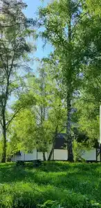 Сосновый берег - 29