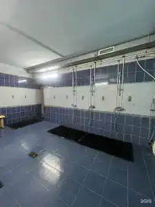 Дорожник - 18