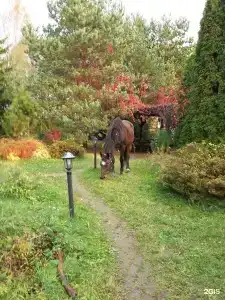 Dream Village Oksino - 65
