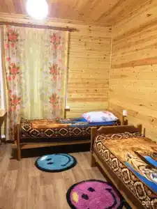 Мини-гостиница Диана - 9
