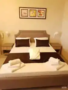 Vip-29 - 8