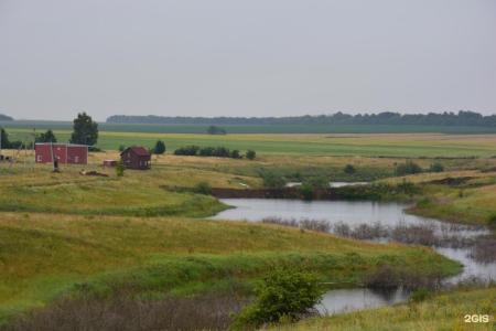 Славянка Нижнедевицк - 15