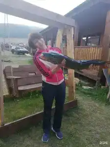 Станица - 43