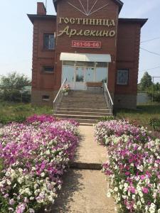 Arlekino 2 - 18