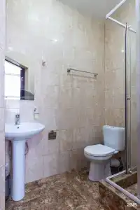 Анатоль - 102