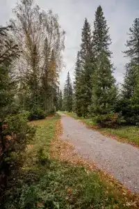 Озерки - 86