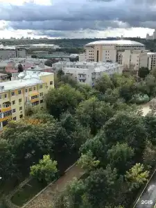 Арена - 52