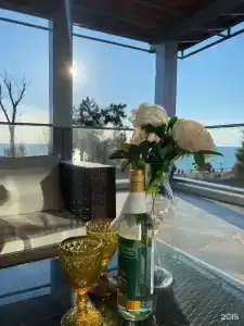 Олимп - 24