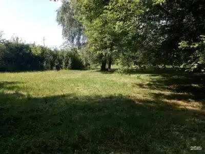 Усадьба - 50